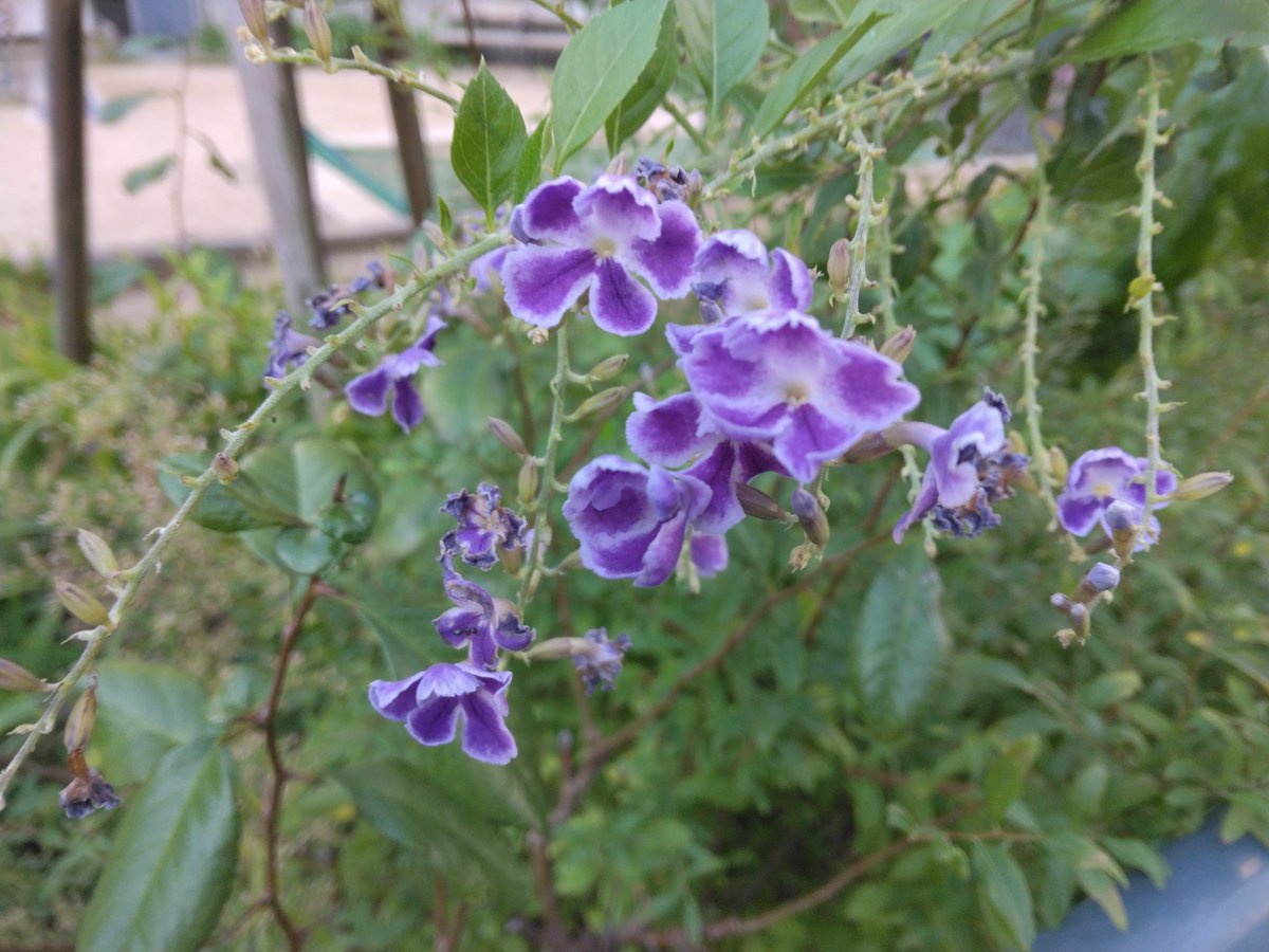 名無しの権兵衛 on X