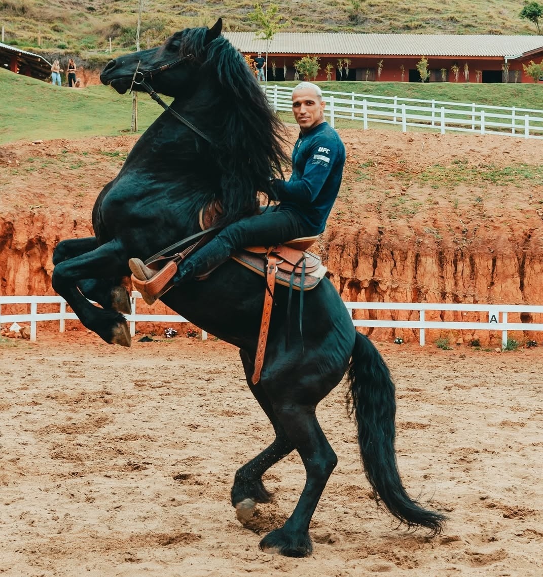 Pep_Lima's tweet image. Charles Oliveira HAS to be the coolest fighter in UFC History 🇧🇷🦁🐎