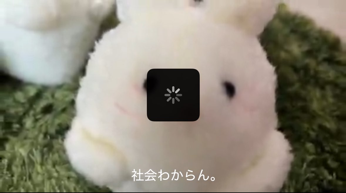 芋煮の季節、なったからね〜🍁🍂
 #てんてこマート