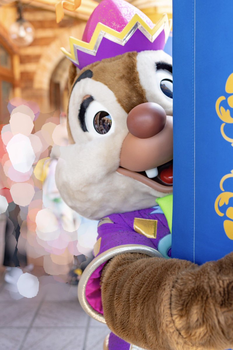 ©️🐿 tweet media