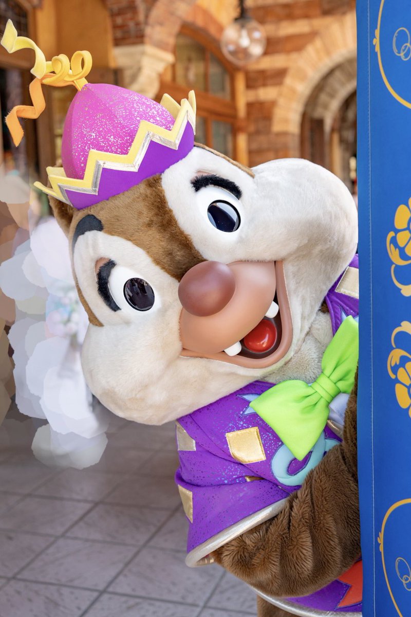 ©️🐿 tweet media