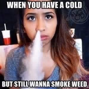 😂 tis the season
