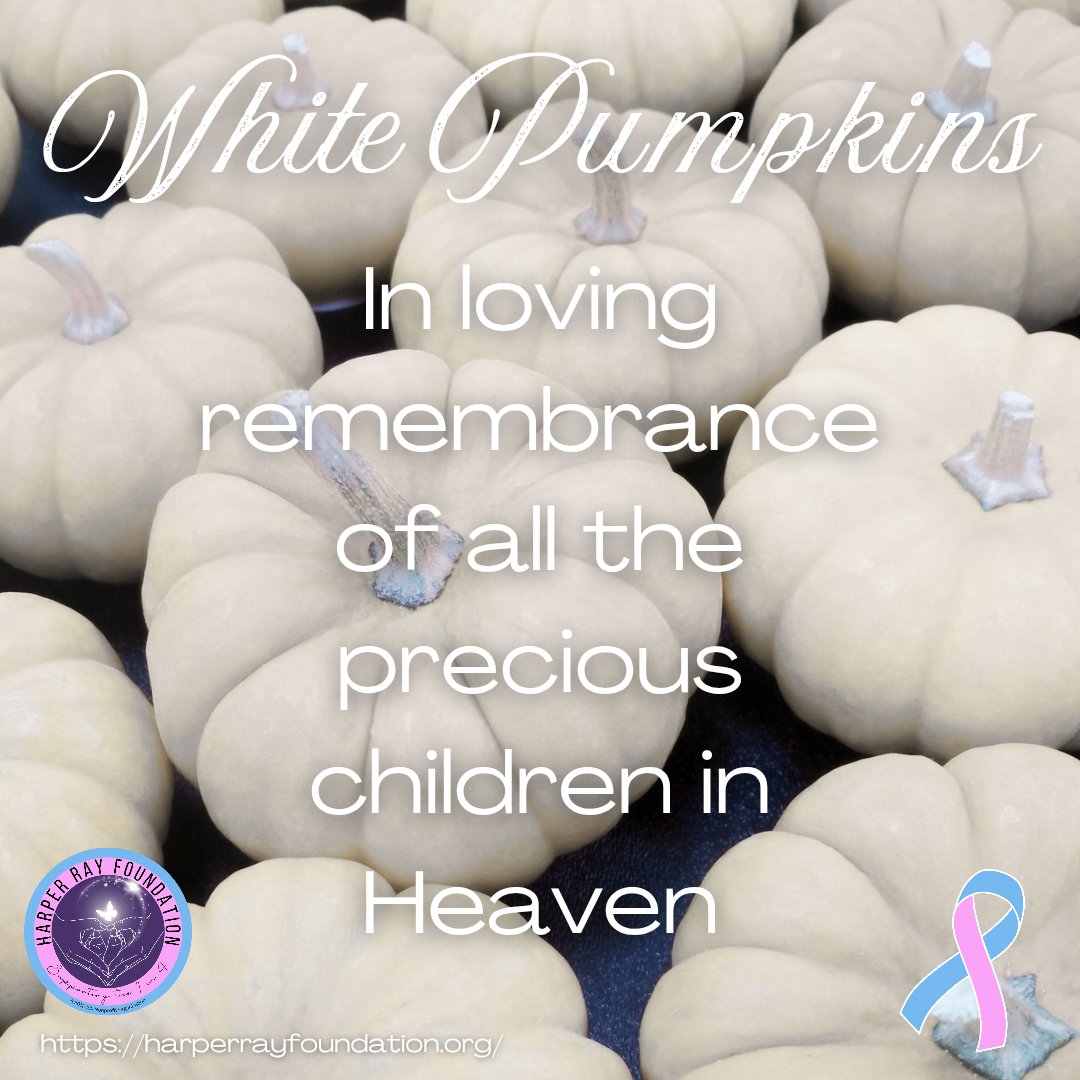 HarperRayFound's tweet photo. #WhitePumpkins π€ #PreciousChildrenInHeaven π©·π©΅ #StillABirthday #1in4
#ShatterTheSilenceSurroundingChildLoss #WeAreStrongerTogether #EndGriefShamingAndComparing #YesImStillGrieving #ThereIsNOatLeast π« #WeArePrayingForTheBereaved #WeProudlyHonorOurChildren #ForeverOurChild βΎοΈ https://t.co/yjvdChizYf
