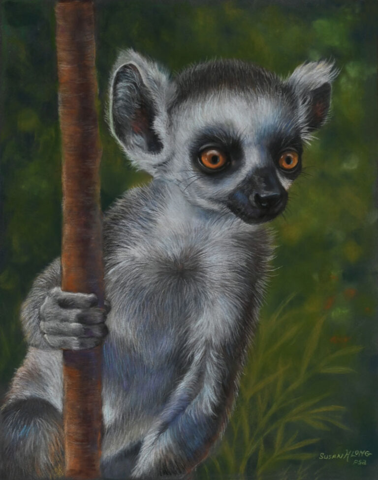 わお太郎の冒険譚 (@bsdog9) / Posts / X