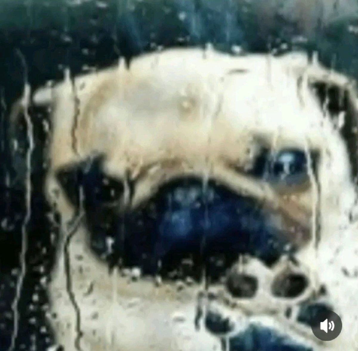 anci_ci's tweet image. I suspect that I have asthma, but I don&apos;t know when I&apos;ll be able to afford a doctor&apos;s visit to confirm my suspicions
Damn, why is medicine so expensive💔