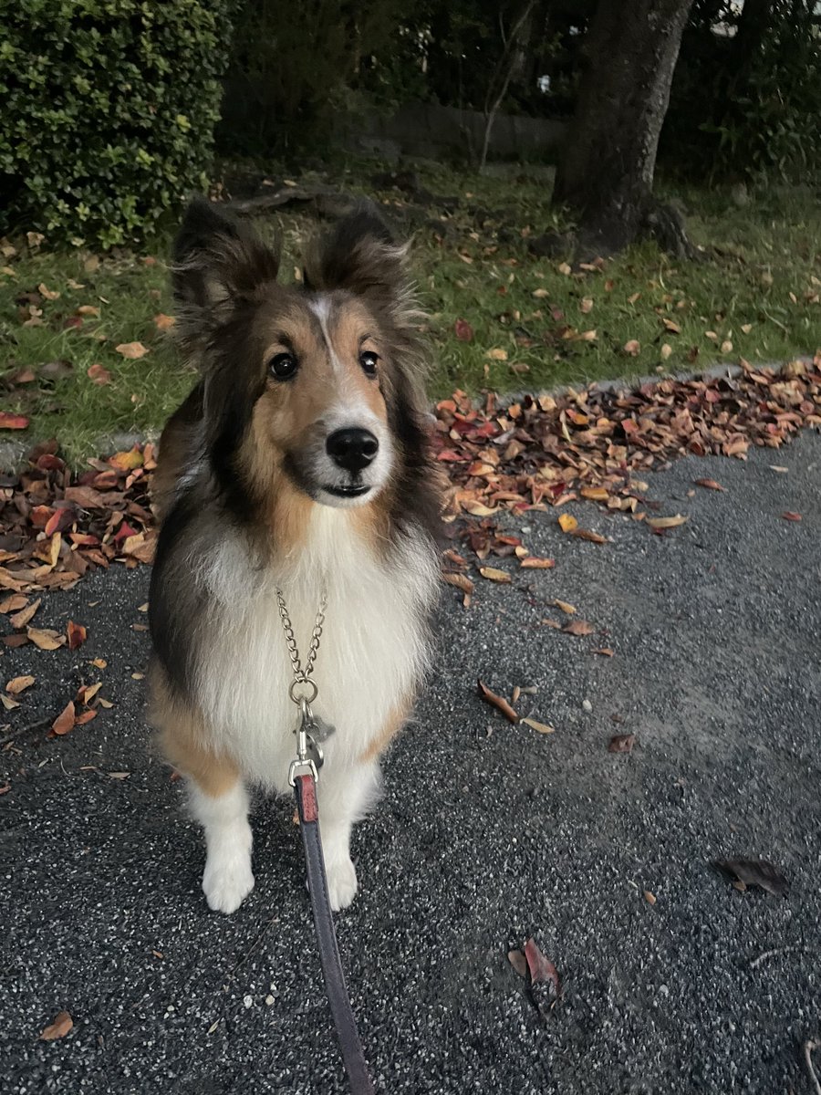 ランママ🇺🇦 on X