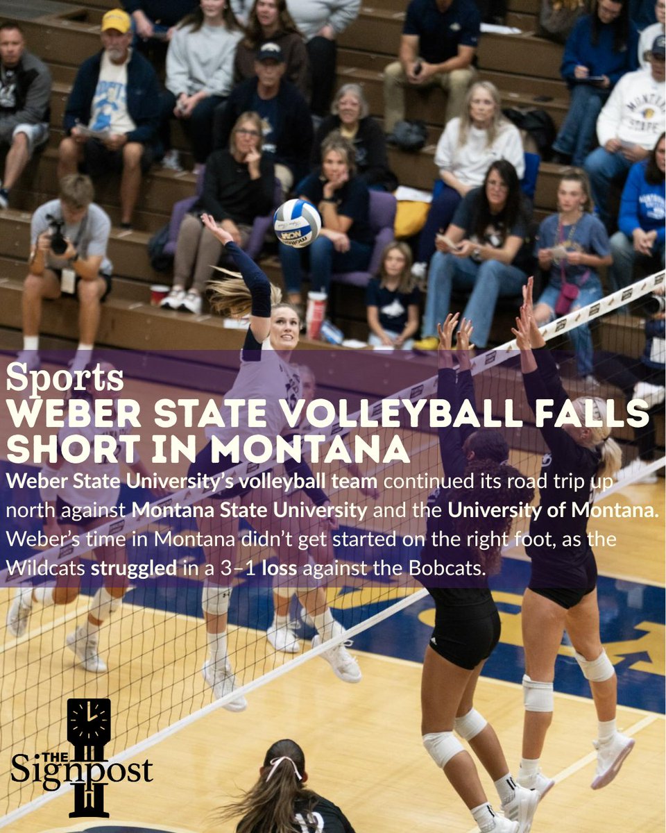 WSUSignpost's tweet image. ⬆️ Read the whole story on our website, the link is in our bio!

✍️: Grayson Freestone | Sports Reporter, the Signpost
📸: Brian Morse | Montana State Athletics

#Weberstate #Weberstatevolleyball #Montana # #MSU  #UM #WSU #Utah #Volleyball #Utahnews #Utahsports #Ogden #Ogdennews