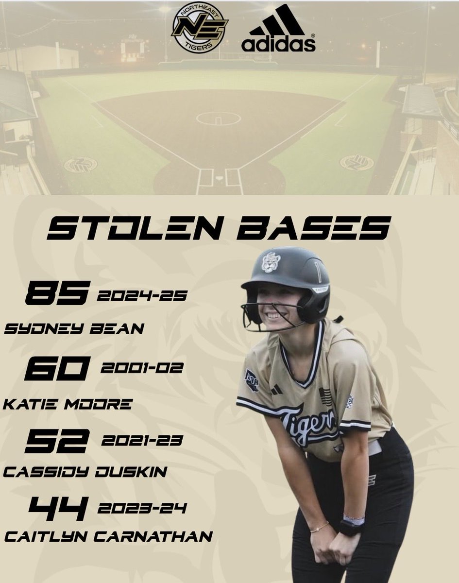 NEMCCSOFTBALL tweet media