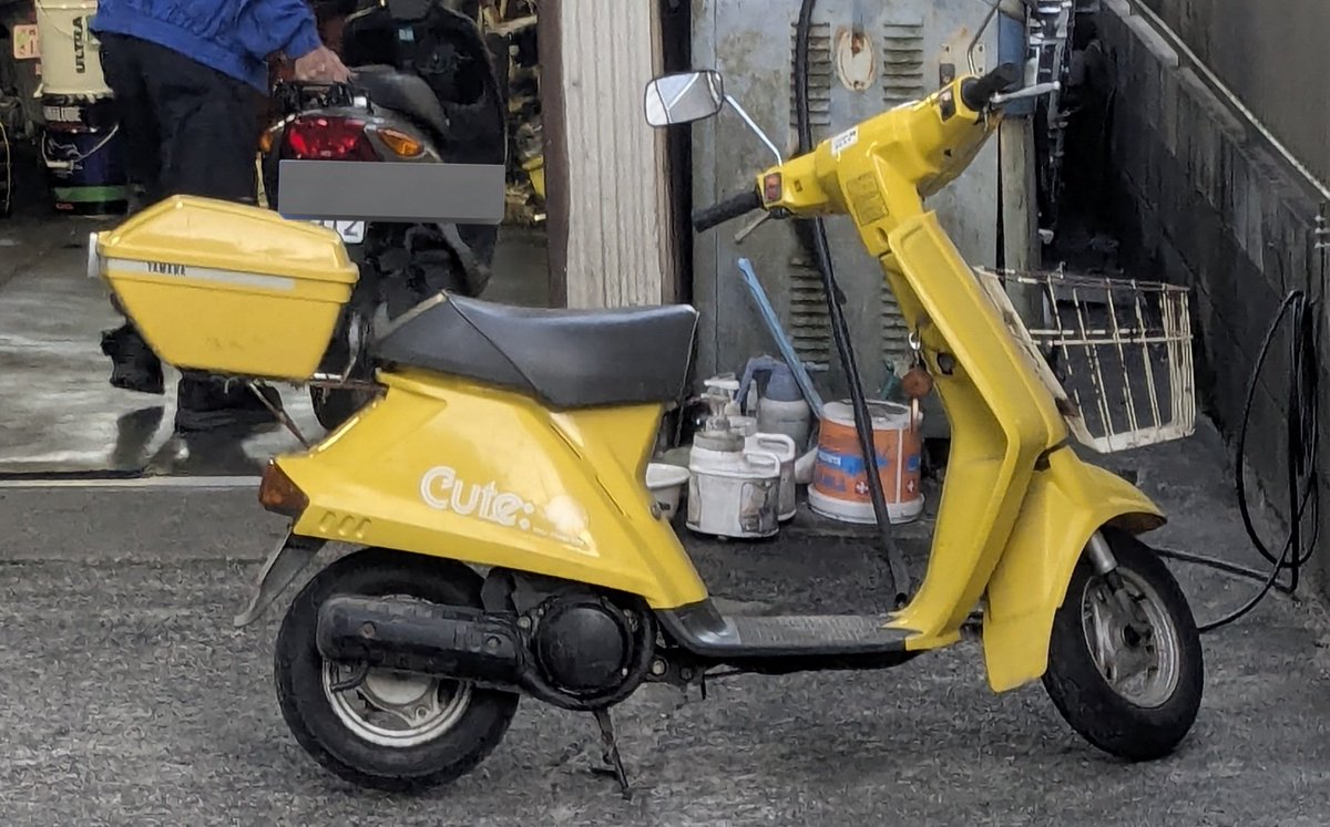 アルくん あるくん (@Aru_albinofox) / Posts / X