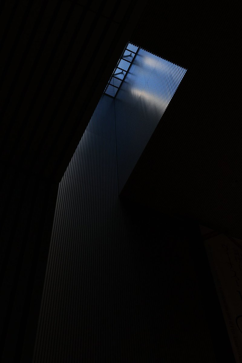 アリス (@alice8944) / Posts / X