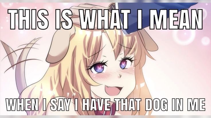 Kat ♡ (@ur_luvkitty) on Twitter photo 