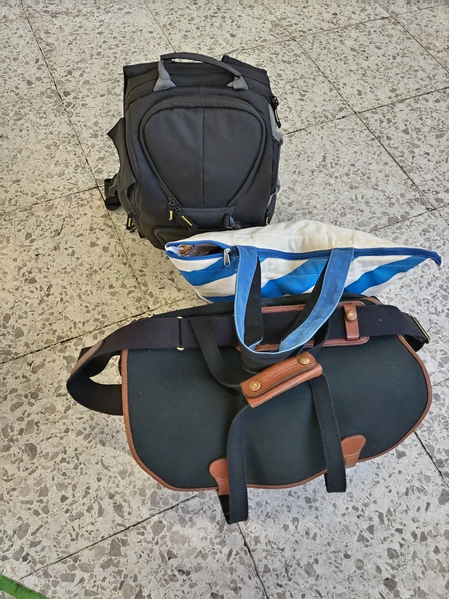 スギッチ。 on X