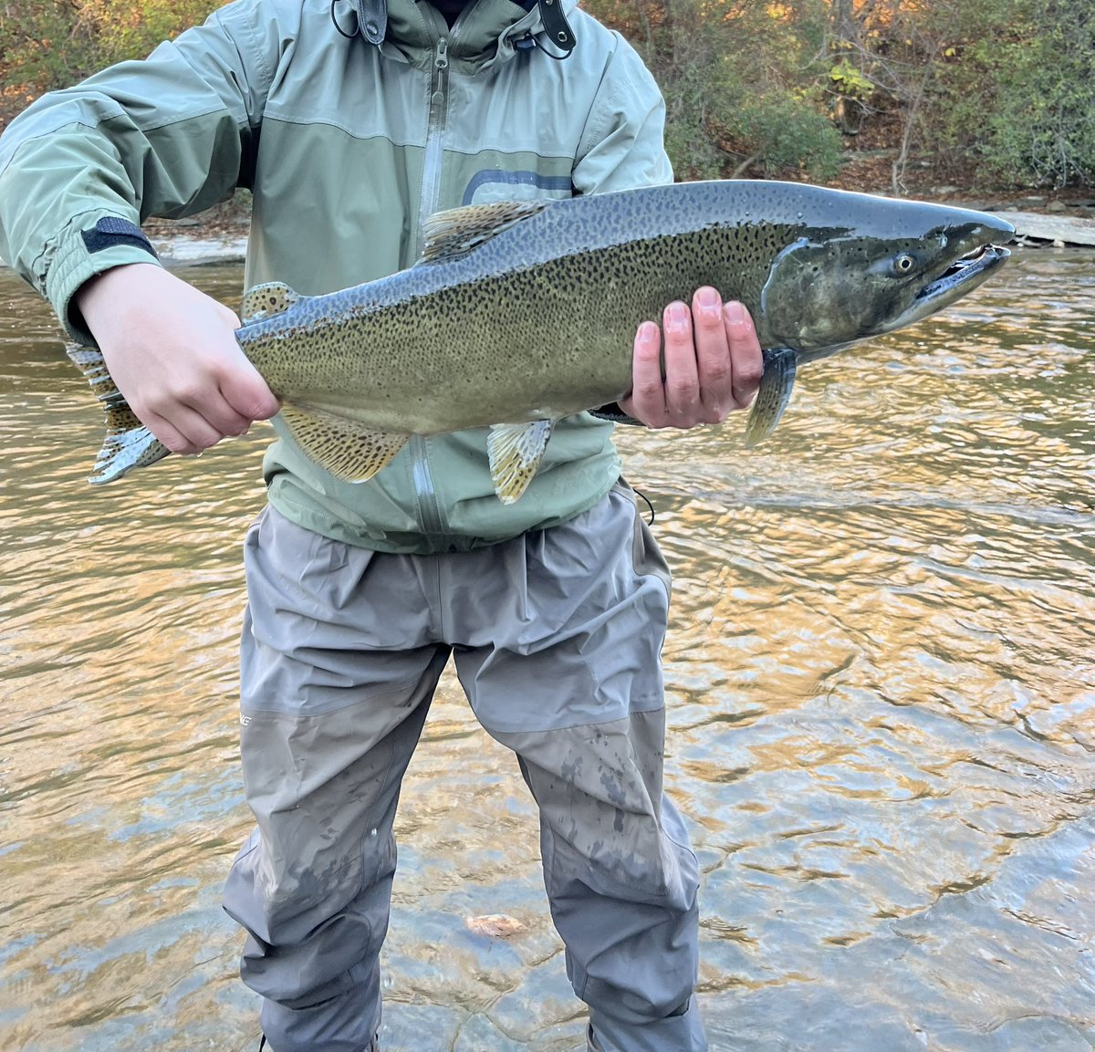 nuggerton's tweet photo. Salmon River with the boys https://t.co/XocsffVQlN