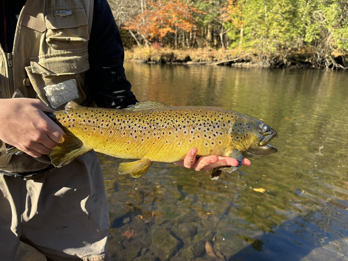 nuggerton's tweet photo. Salmon River with the boys https://t.co/XocsffVQlN