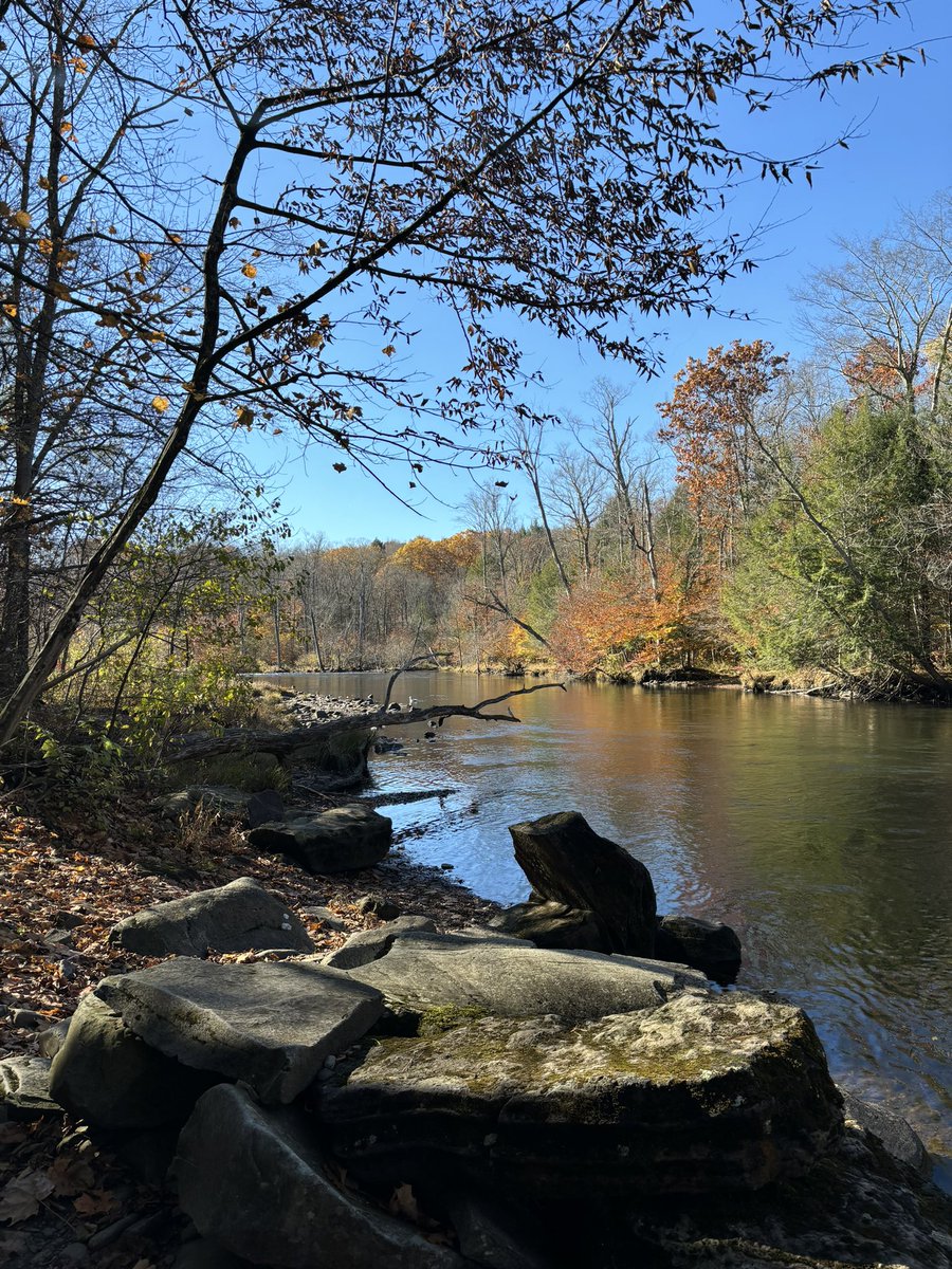nuggerton's tweet photo. Salmon River with the boys https://t.co/XocsffVQlN