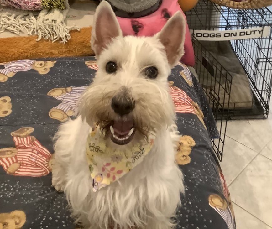 Maggie giver of hugs & goodwill. tweet media