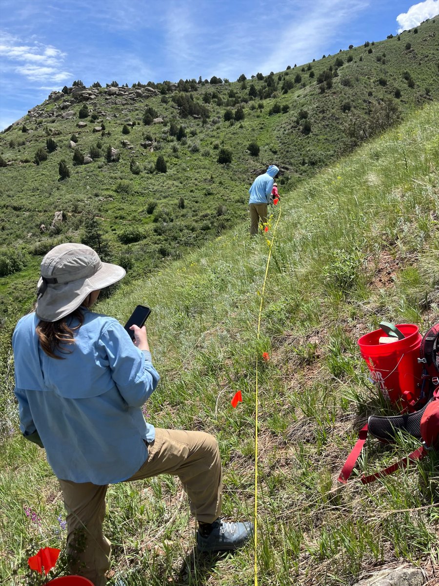 2026 Small Research Grants applications now open! This program supports individuals or groups who want to study JCPOS lands and help inform management of natural, cultural, &amp; rec resources. Anyone may apply. Awards average $10-$15k jeffco.us/3339/Research