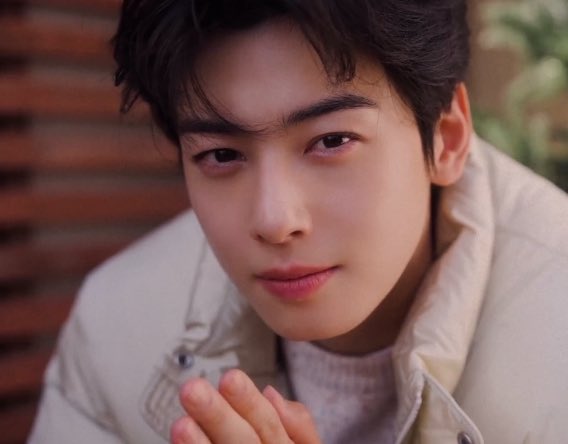 rosy_chastar's tweet photo. CHA EUNWOO’S EYES 😭🫠 https://t.co/uZ3C1XWmda
