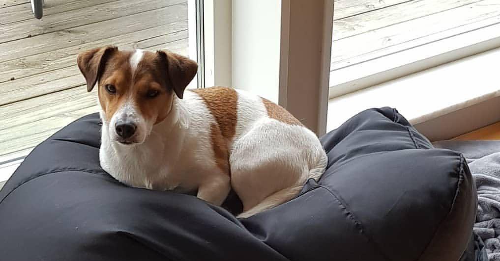 patrickjackso09's tweet image. It's my 4th birthday today!