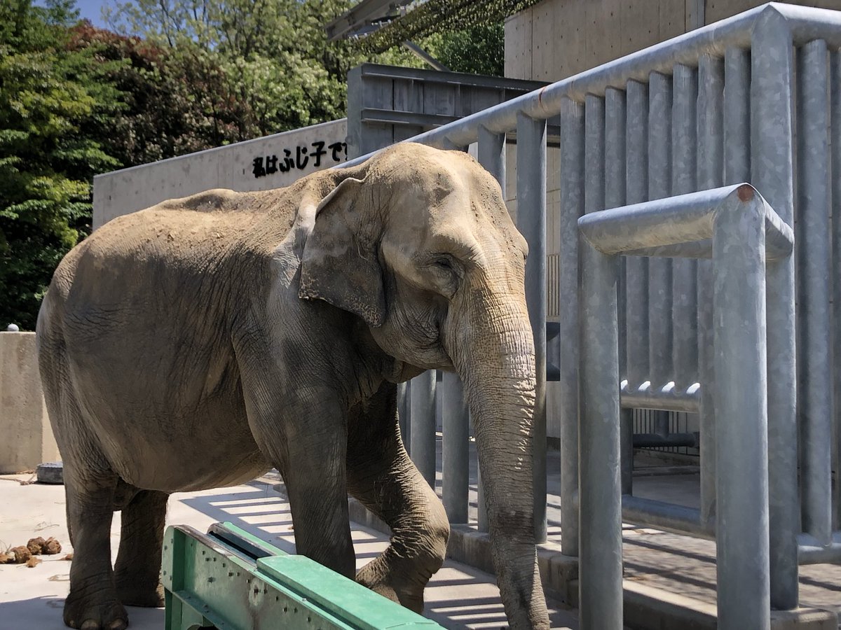 きょうちゃん on X