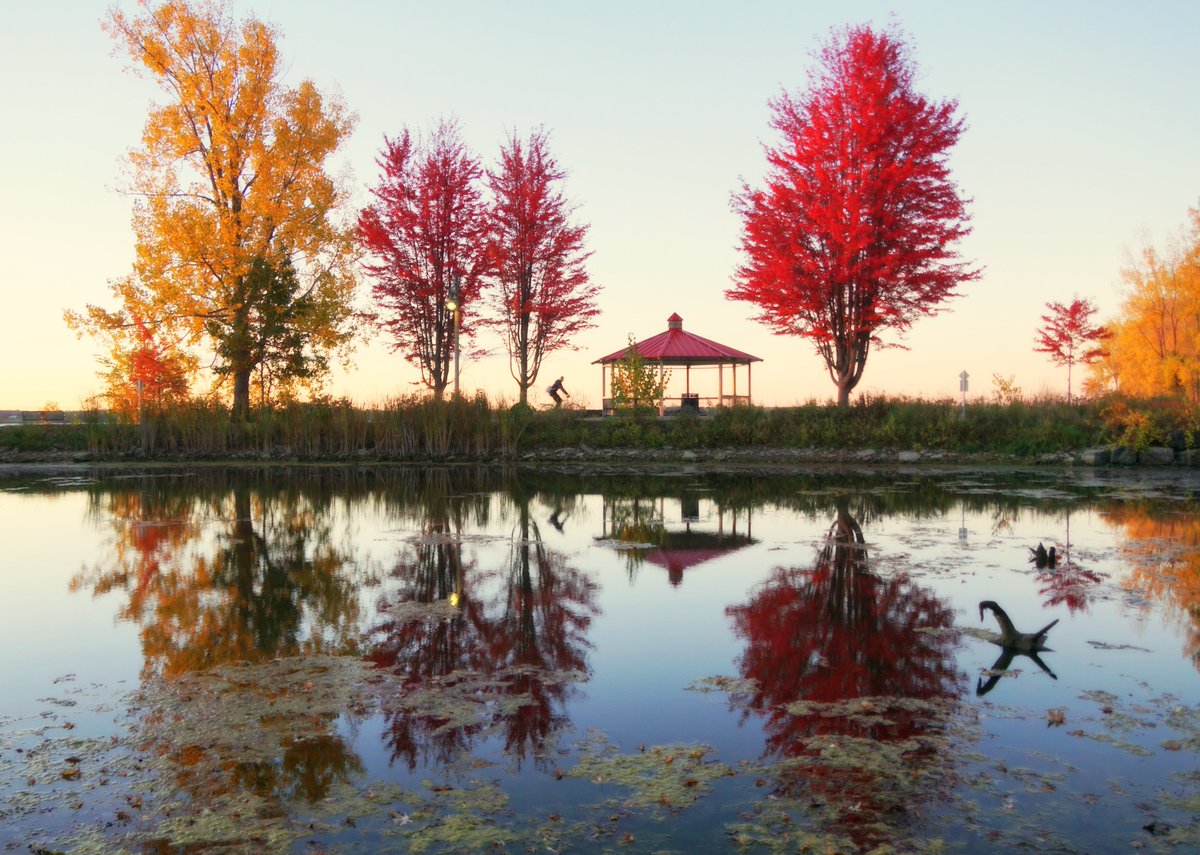 Last of falls colors here in the Bay of Quinte, Ontario. October ending.  <a href="/weathernetwork/">The Weather Network</a>  <a href="/OntarioTravel/">Destination Ontario</a>  <a href="/ExploreCanada/">Canada</a>