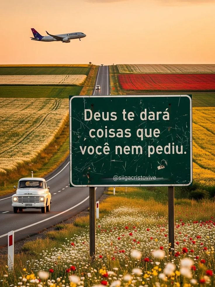 cordeirodavida_'s tweet image. 