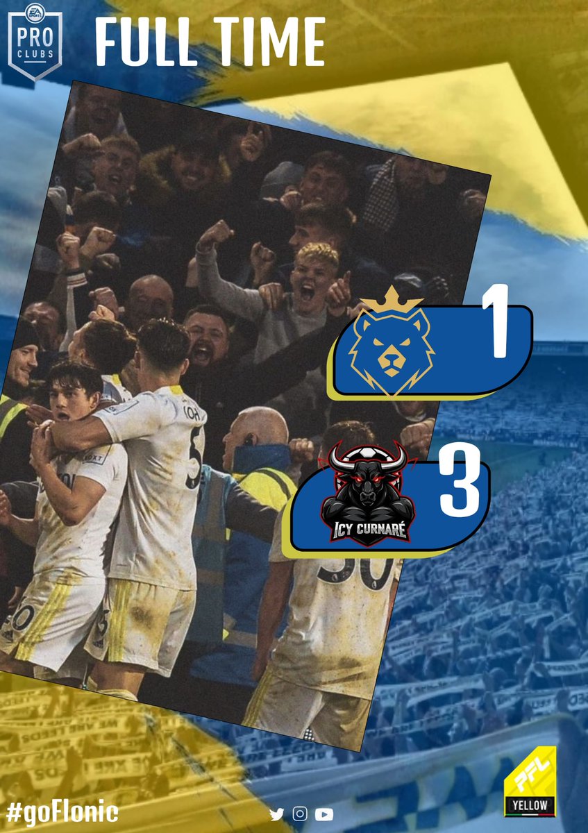 FlonicVFC's tweet image. #GoFlonic 
💙🐻‍❄️💛