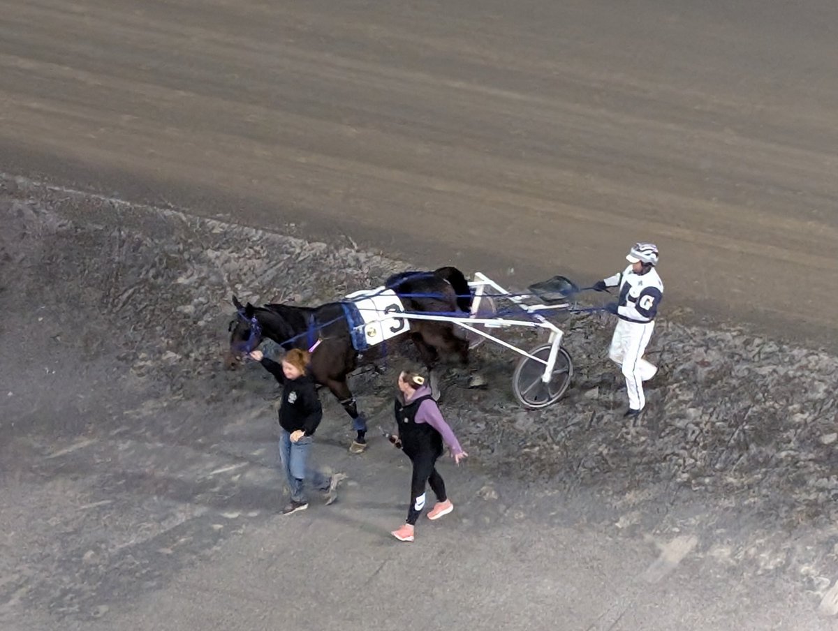 TheTriactor's tweet photo. NEVER MIND N wins R2 @RideauCarleton for Guy Gagnon &amp; Mandy Archer.
Win #8 of the season for the 12-year-old son of Muscle Mass 💪 1:57.1f https://t.co/i2Jg8QLske