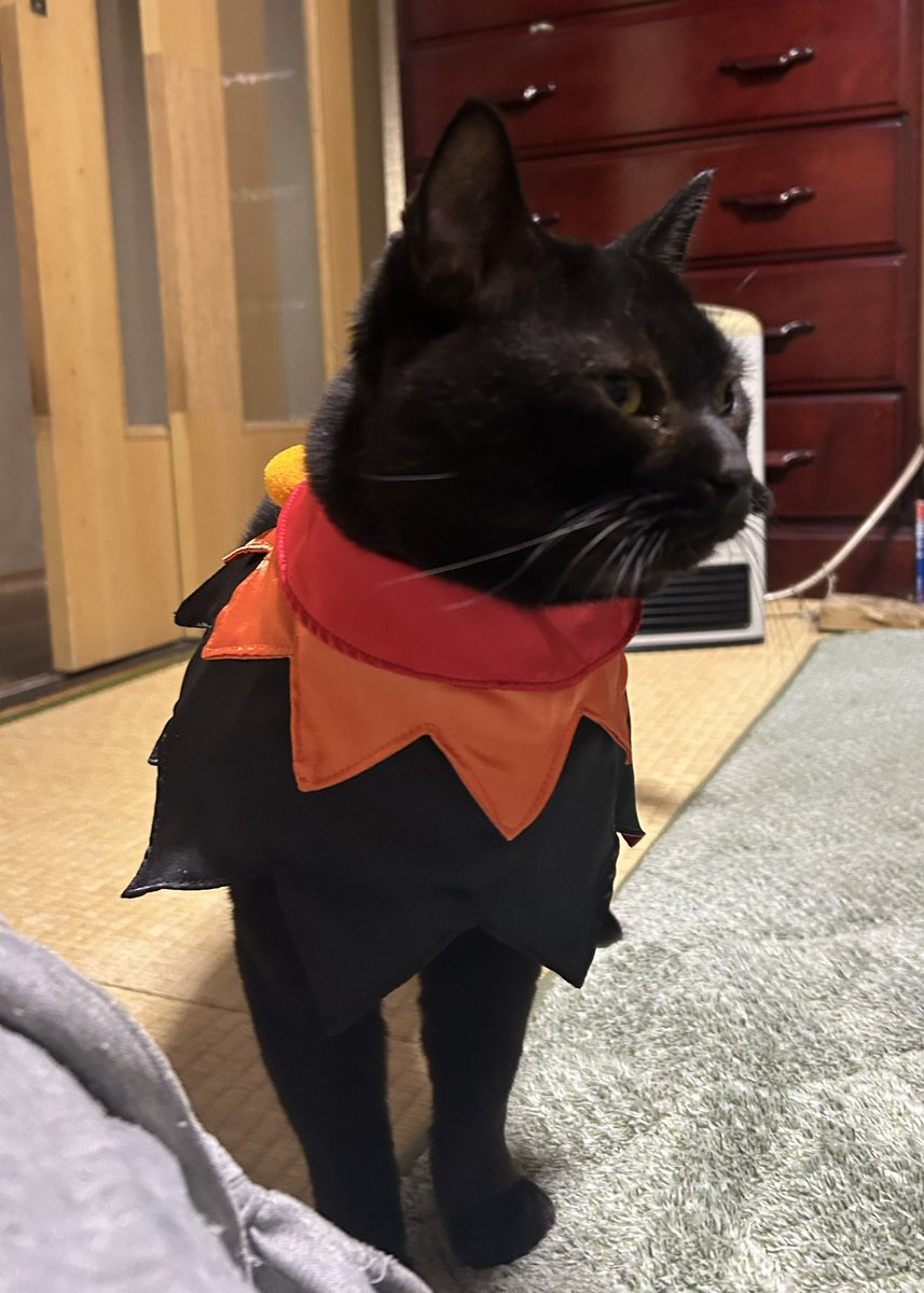 くるわ亜希@10/19SPARK東6ハ54b on X