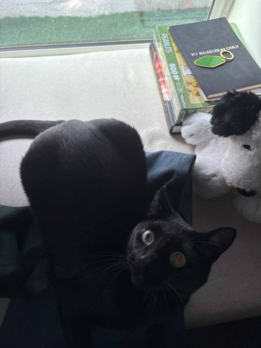 SettingSunset_'s tweet image. everyone say hi to circe