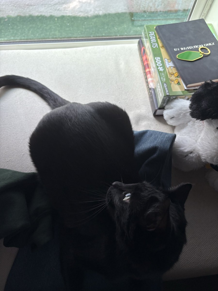 SettingSunset_'s tweet image. everyone say hi to circe