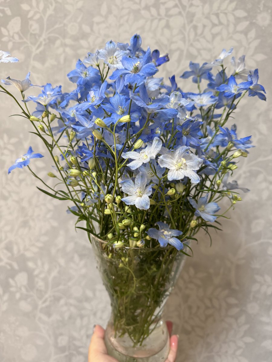 うきたん✈週2断捨離 (@koyukizou) / Posts / X