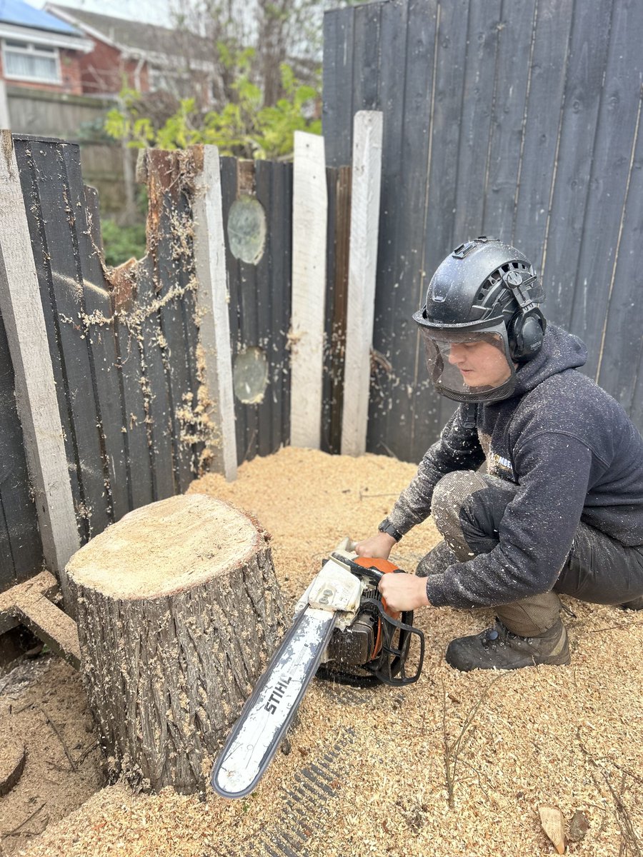 LumbersNW's tweet photo. Qualified &amp; Insured

#treesurgeon #wirral #chester #Liverpool #TreeCare #GroundsMaintenance #freequotes #treesurgeonwirral #treesurgeonliverpool #treesurgeonchester https://t.co/CbNECA4YMZ
