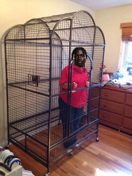 DaysAlbion's tweet photo. #FreeMane https://t.co/lmGesFpHD0