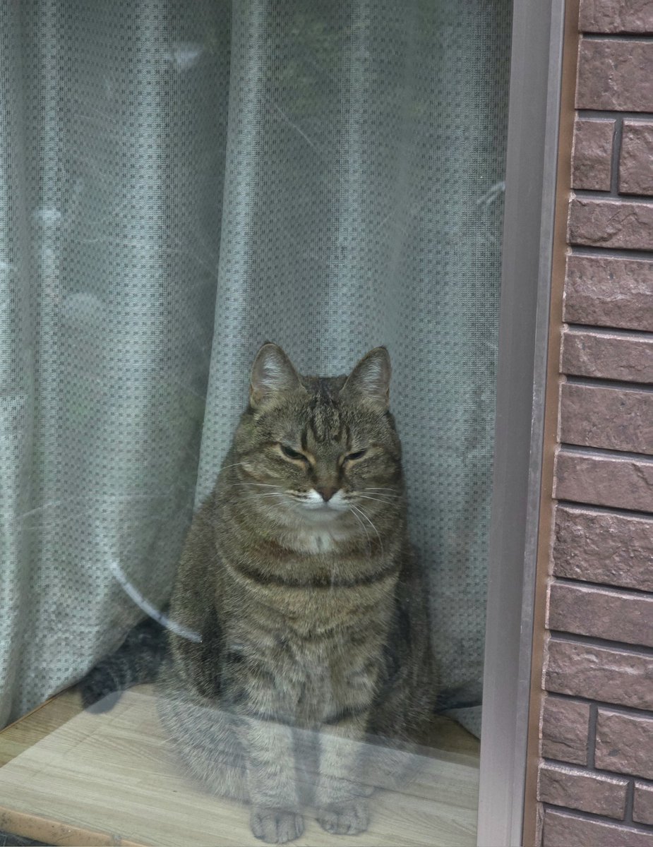 みーちゃん on X