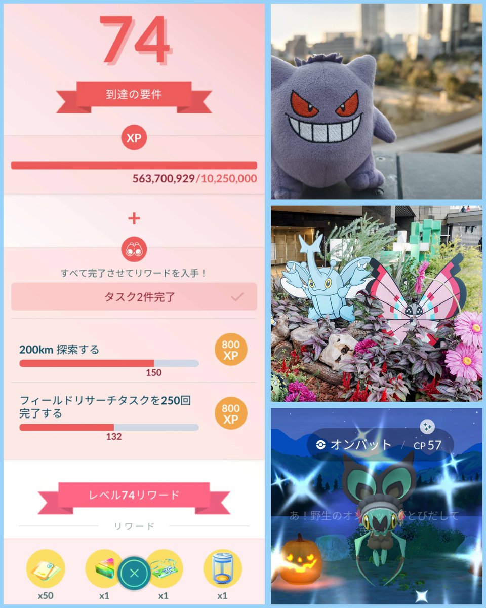 現在被害届提出中】様用グラードン ケンタロス ゴニョゴニョ