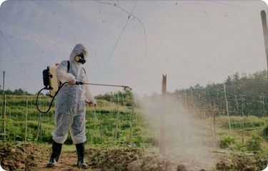 PRESS RELEASE
Greenpeace welcomes a decision by New Zealand Food Safety to maintain maximum glyphosate residue levels on wheat, oats and barley at their current level of 0.1mg/kg, but now calls on NZFS to restart its glyphosate testing programme. 
#Food&amp;Farming