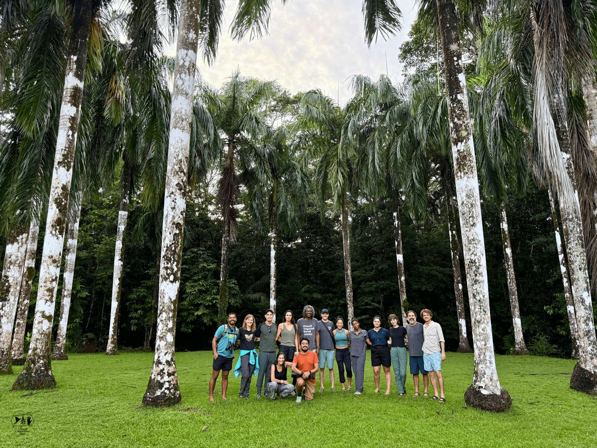 AmazonTeamOrg's tweet image. In Costa Rica’s Osa Peninsula, our team, board, and guests joined in the field to witness the strength of community-led conservation, where people and ecosystems thrive together🌿

-

En la Península de Osa, Costa Rica, nuestro equipo, miembros del consejo y aliados se reunieron…