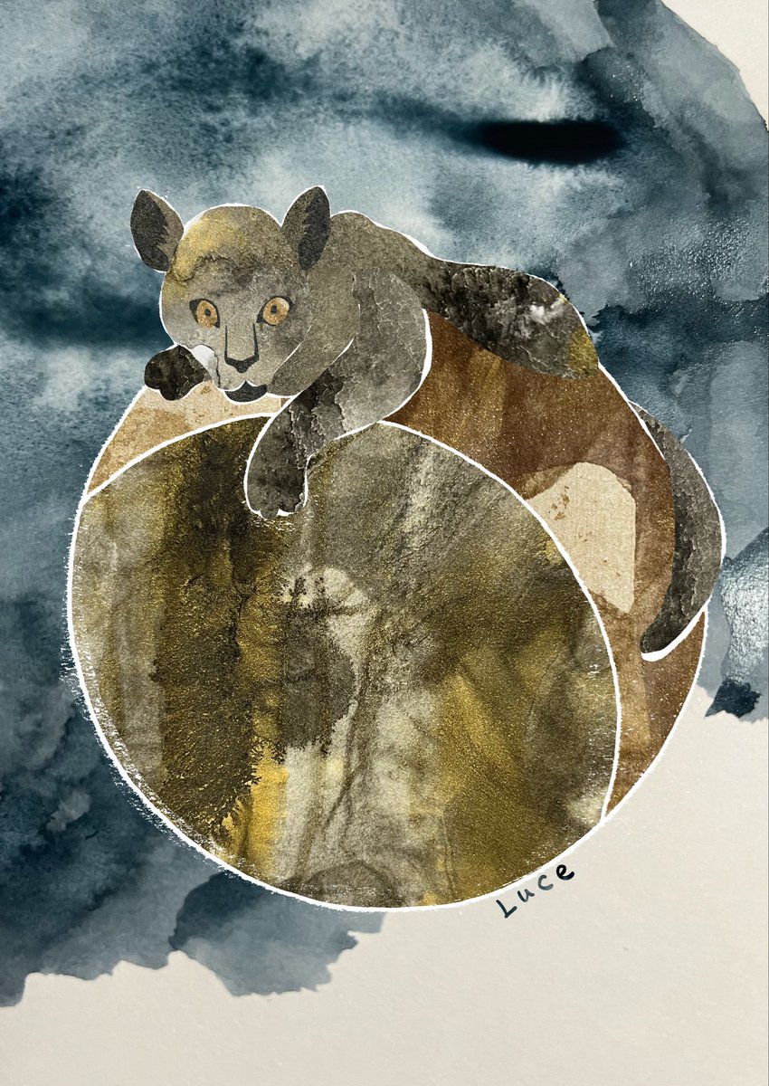 Luce✴︎ルーチェ (@9oX7cEfH3jvh4az) / Posts / X