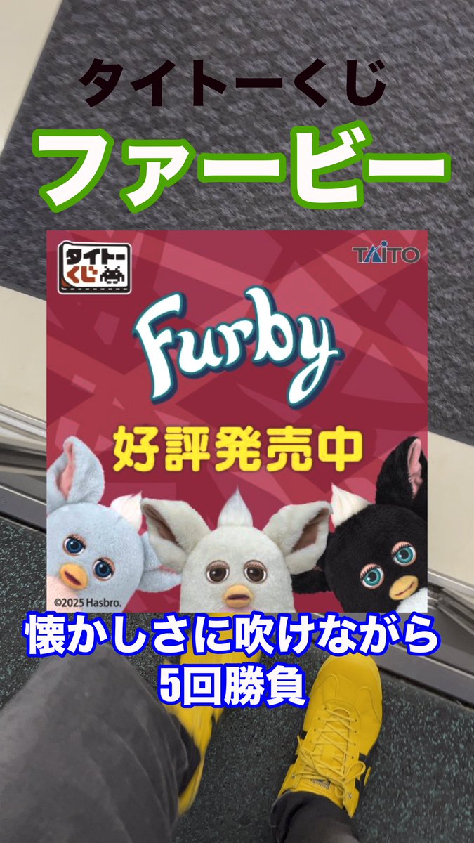 たつにゃん🛝（本物） on X