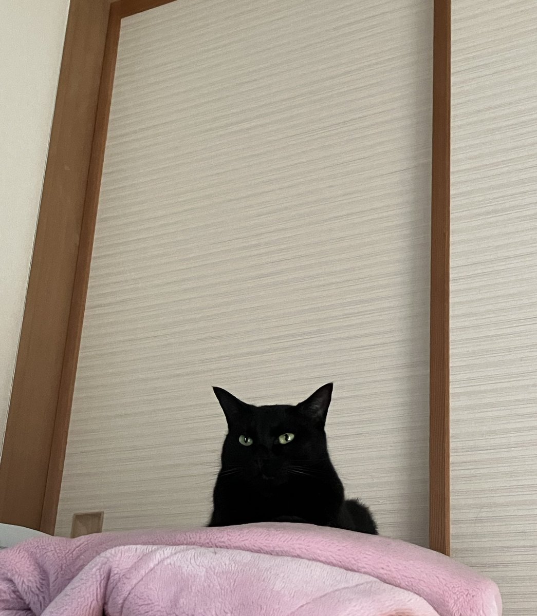 gigaburu1985's tweet image. 