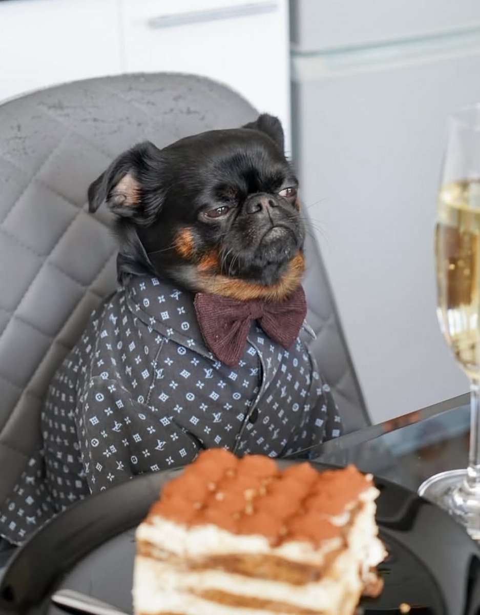 We back yurr guys 💜 

twitch.tv/sirquelis