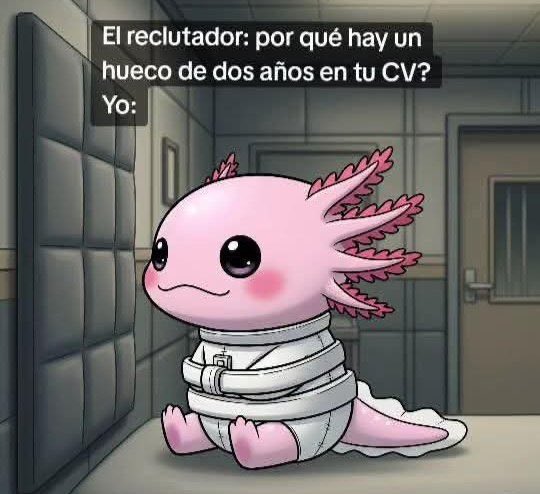 armanroot's tweet photo. Me fui a Tulum a ser taquero, pero ya  volví 🥲🤌🏽 https://t.co/jDWspuu50j
