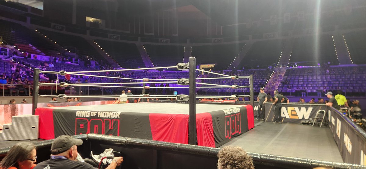 Katzilla64 tweet media