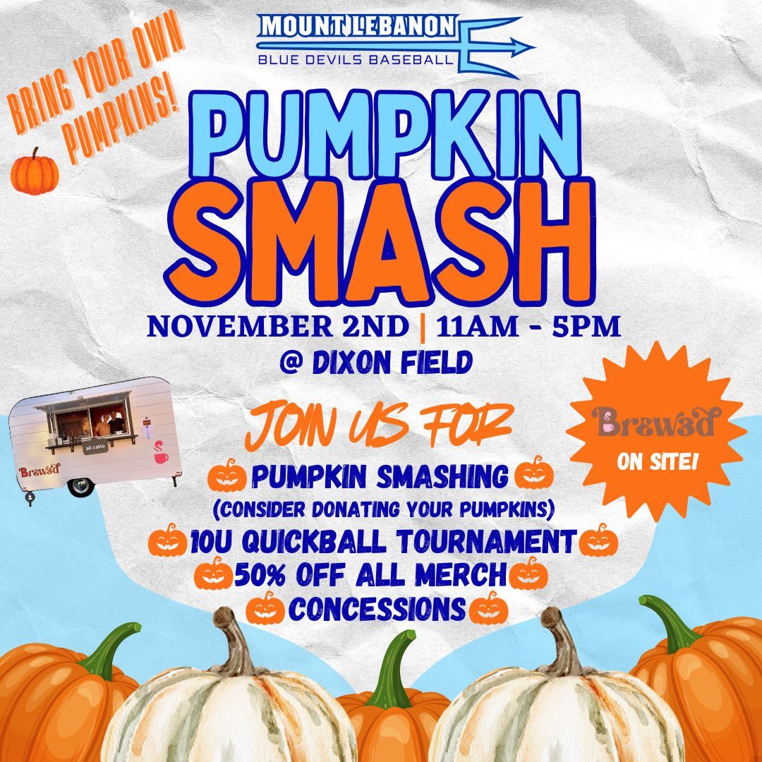 Mt Lebanon Baseball Association tweet media