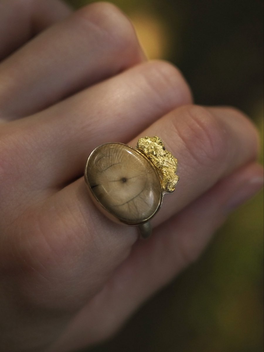 IlauraLongley's tweet image. Caramel color woolly mammoth tusk ring with raw Alaskan gold accents. Elegant, natural, and effortlessly stylish. History is always in fashion.
#fossil