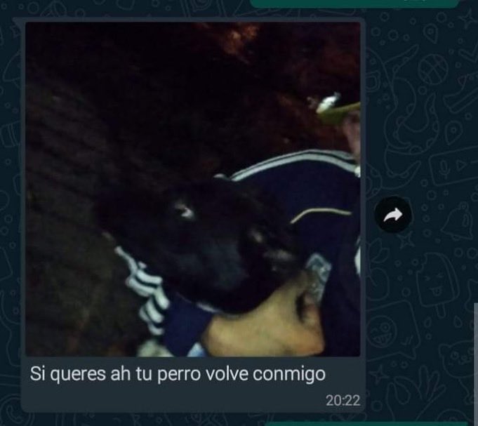 gente chamuyando (@gentechamuyando) on Twitter photo 