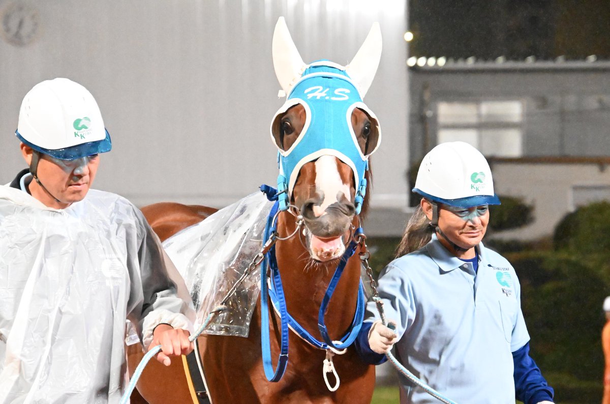 バカラお馬さん Baccarat (バカラ) いななくうま馬｜トレファクONLINE