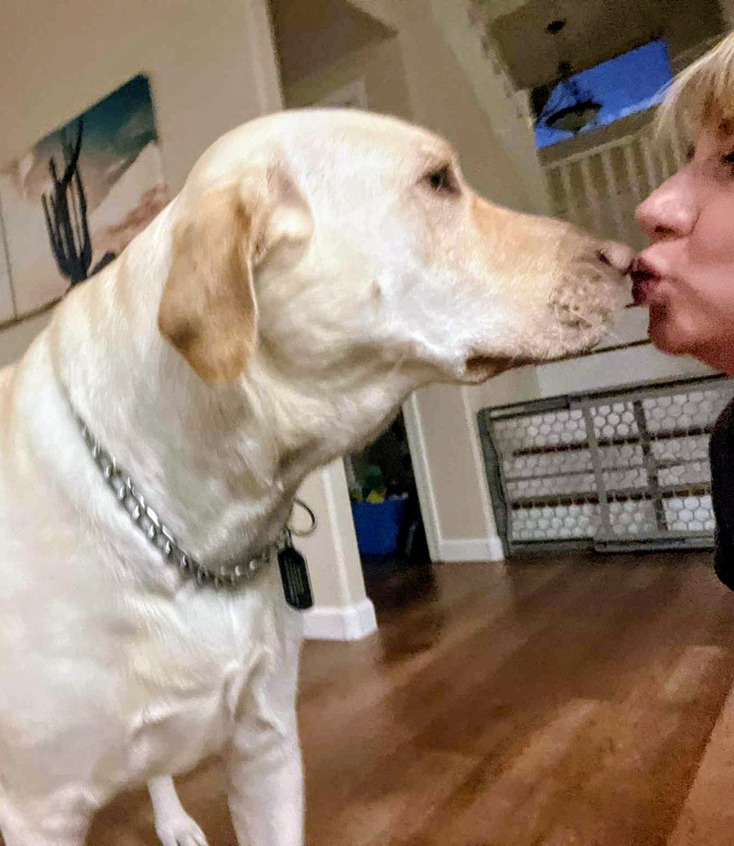 SWMaybelline's tweet photo. https://t.co/fF5ouUsnuL
Leo the Lab Report:
I often forget to take time to show Mema how much I love and appreciate her. A little kiss says a lot. She's the most loving, compassionate and caring pet grandparent I could ever hope for.
#lakeboss #labrador #granddog https://t.co/Wa14pnnxlp