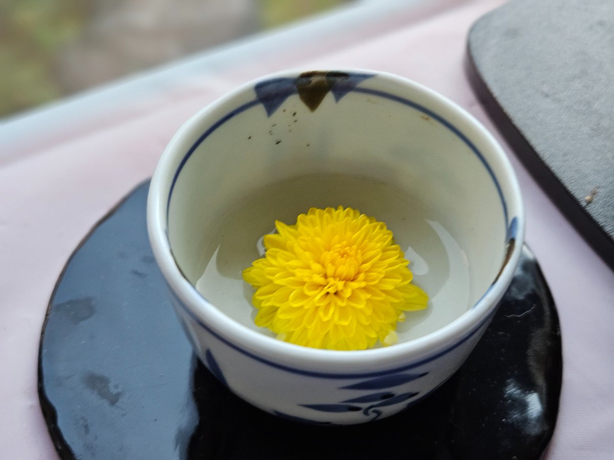 abstract_archi's tweet photo. いつもお教室のお生徒さんをお迎えしてくれるお花…

今日はお教室が休みなので、

静謐さの中で目に見えぬ誰かを迎えているお花を皆様に… https://t.co/F5ZS6Sw7iK